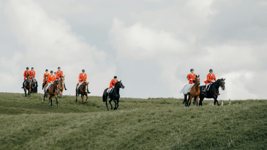 Photo de Rene Terp: https://www.pexels.com/fr-fr/photo/paysage-pre-prairie-champ-18892362/