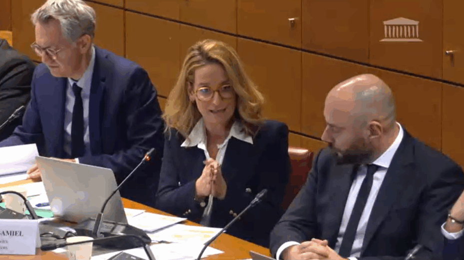 Alexandra Redde-Amiel, directrice des divertissements et jeux chez France TV