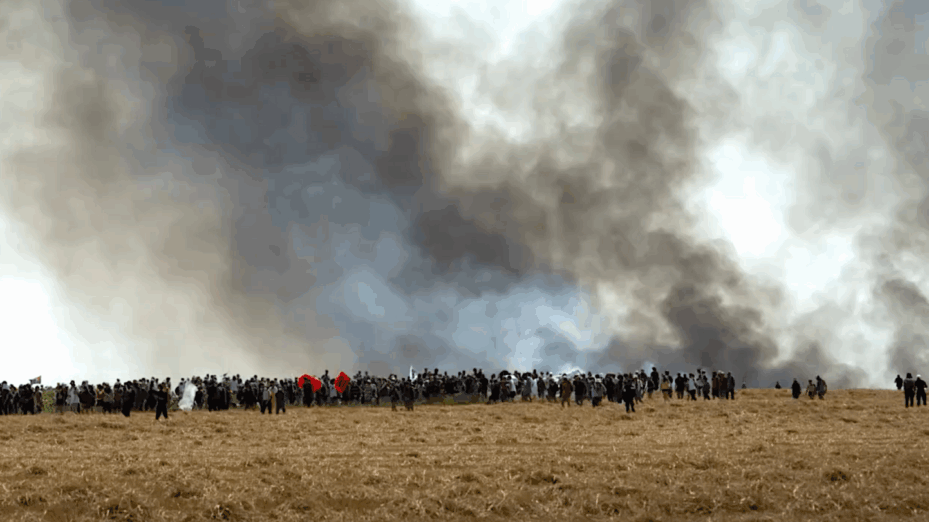 Manifestation à Sainte-Soline. Capture d'écran TF1.