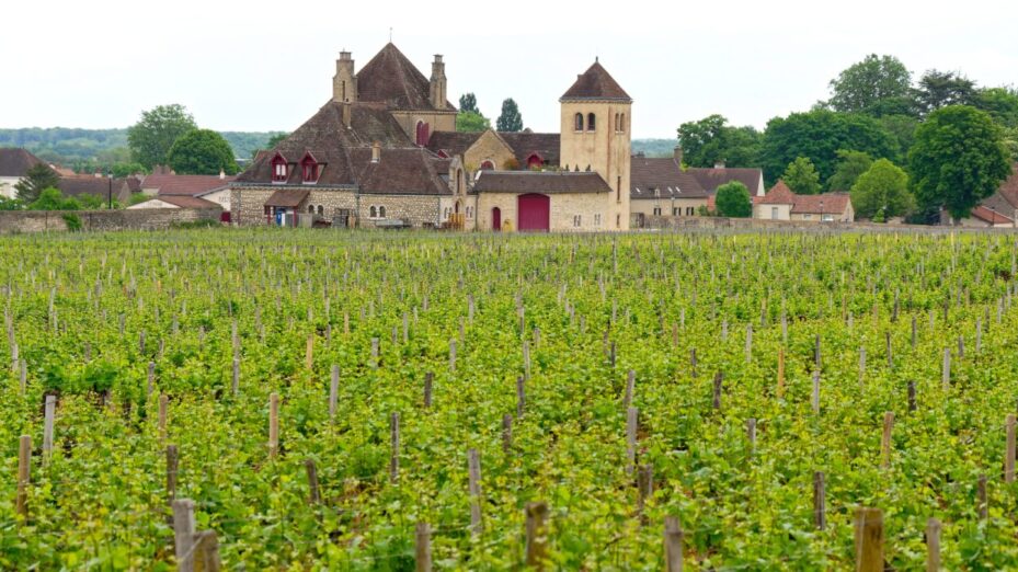 Photo de Gu Bra - www.pexels.com