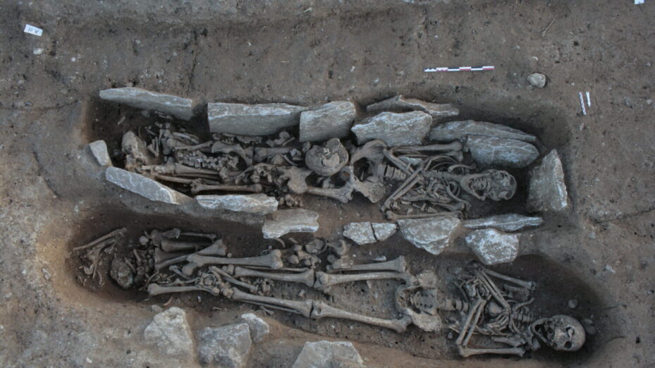 Image d'illustration (Licence creative commons)