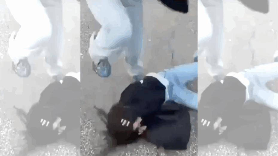 Capture d'écran Lyon Mag