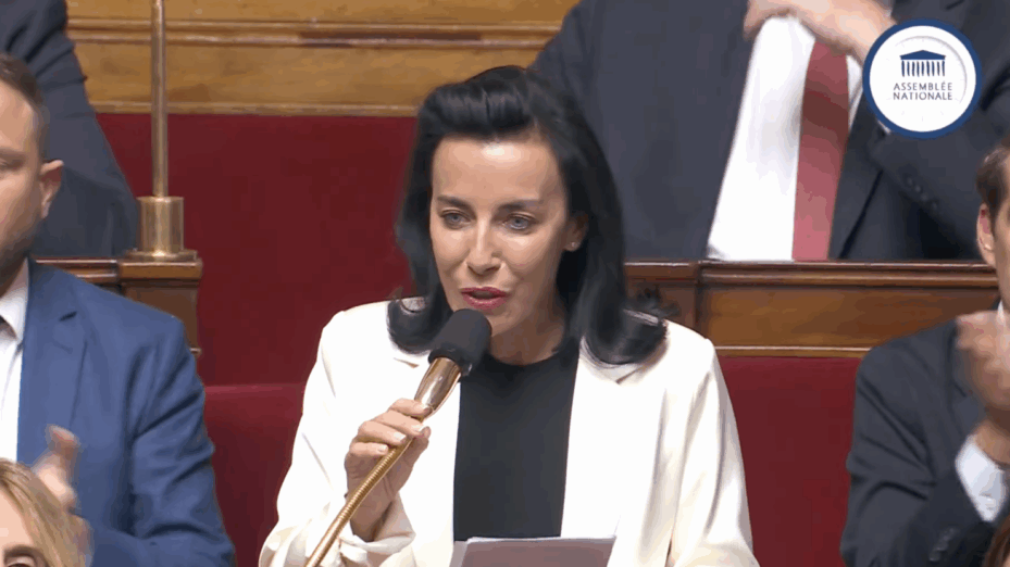 ALEXANDRA MASSON RN:LCP Alexandra Masson. Capture d'écran RN / LCP