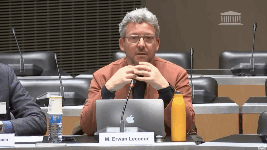 Capture d'écran Assemblée nationale.