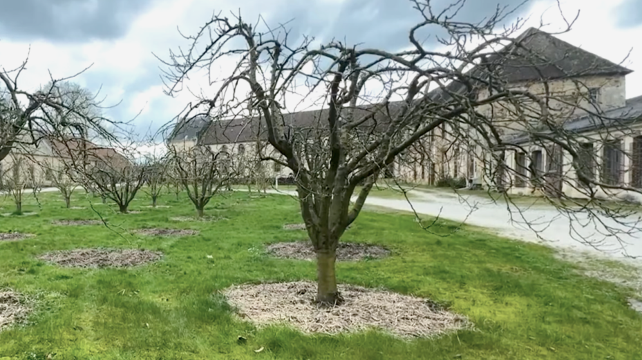 Capture d'écran France 3