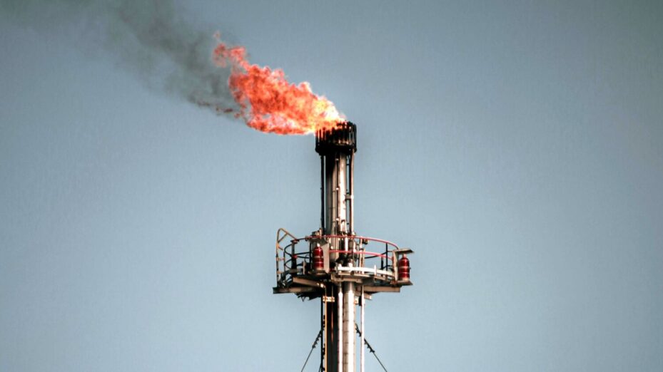 Photo de Nur Andi Ravsanjani Gusma: https://www.pexels.com