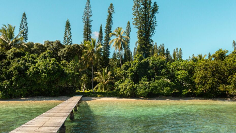 Photo de Mikael Dubarry: https://www.pexels.com