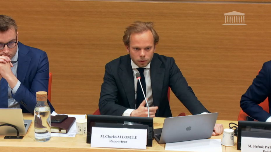 Capture d'écran Assemble nationale