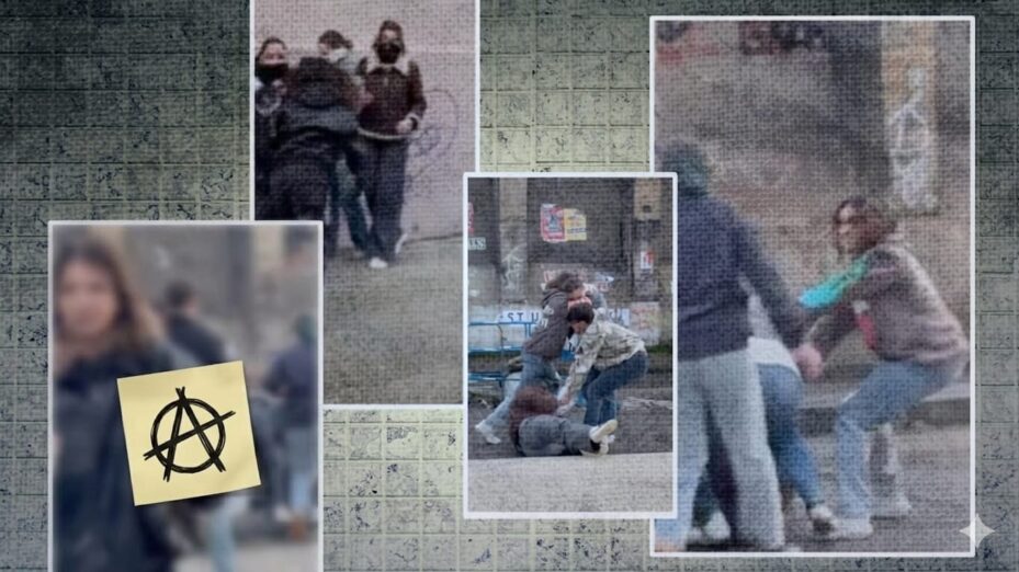 Des photos inédites montrent que les Némésis ont été à plusieurs reprises agressées le 12/02 LYON - Photomontage BV