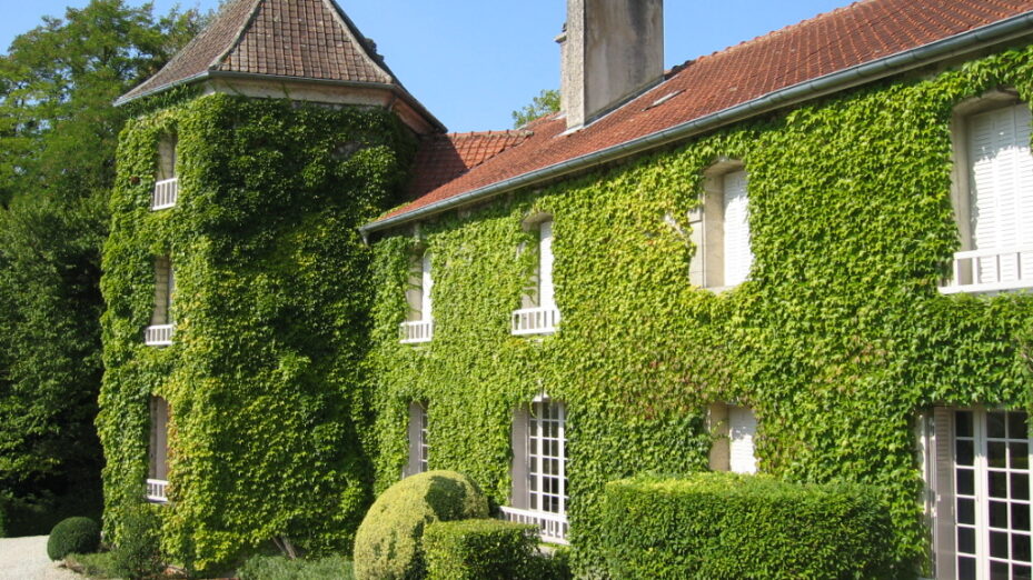 @Wikimedia commons