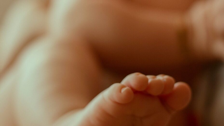 Photo de Maria Luiza  Melo: https://www.pexels.com