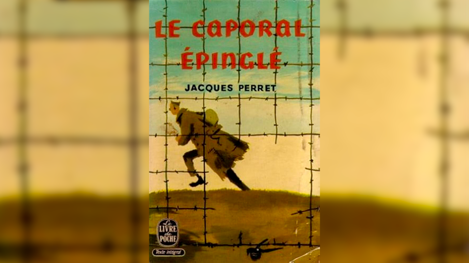 vignette-pour-article-1