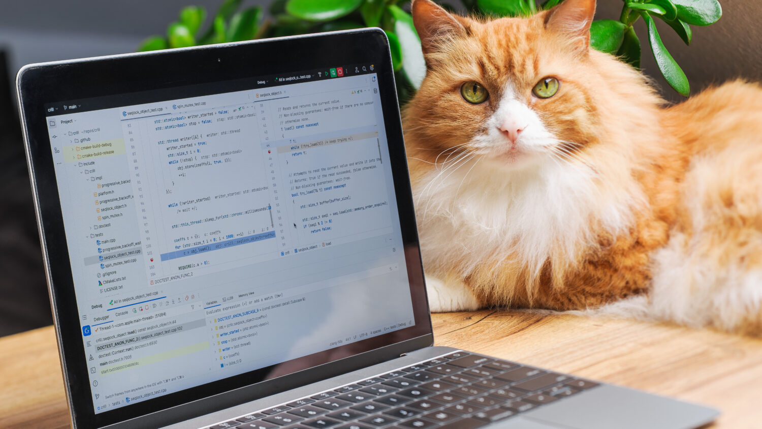 [ANIMAUX] Piratages de sites institutionnels : au tour des chiens et des chats !