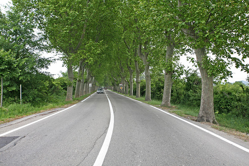 800px-La_route_nationale_86_à_la_sortie_de_Lamotte-du-Rhône_by_JM_Rosier