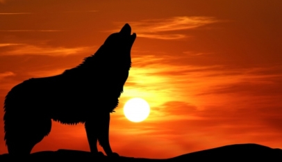 La thèse lénifiante du loup solitaire est bien une fumisterie. L'État islamique vient de le révéler